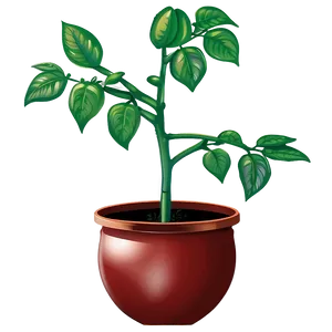 Tomato Plant Watering PNG Nby43 PNG