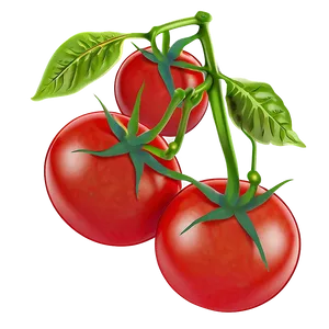 Tomato Plant With Tomatoes PNG Ekg67