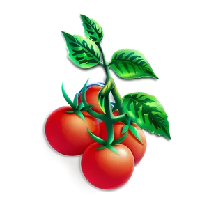 Tomato Plant With Tomatoes PNG Vmo