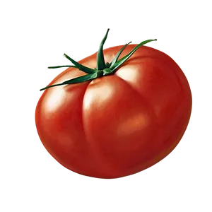 Tomato Sketch PNG 06212024 PNG