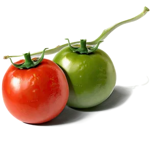 Tomato Sketch Png 76 PNG image