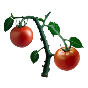 Tomato Vine Isolated PNG 49 PNG