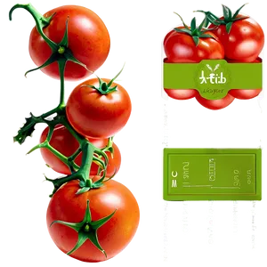 Tomato Vine Isolated PNG Vpr PNG