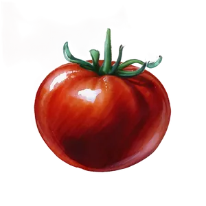 Tomato Watercolor PNG 05242024