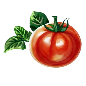 Tomato Watercolor PNG Bmo10 PNG