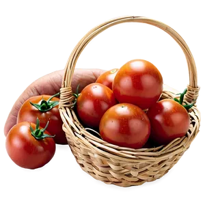 Tomatoes Basket PNG 44