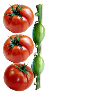 Tomatoes On Wooden Surface PNG 61