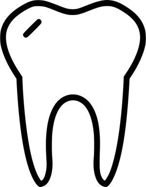 Tooth Outline Vector Art PNG image