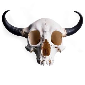 Top View Animal Skull PNG Jcv28 PNG