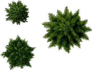 Top View Green Trees Isolatedon Black PNG image