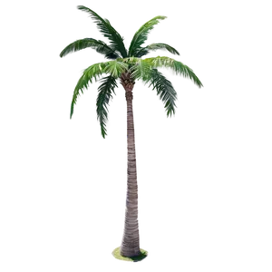 Top View Palm Trees Png Gfd47 PNG image