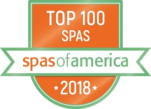 Top100 Spasof America Award2018 PNG image