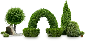 Topiary Garden Variety PNG image