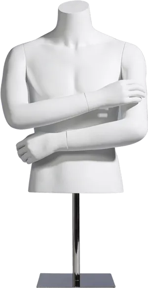 Torso Mannequinon Stand