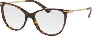 Tortoiseshell Round Glasses PNG image