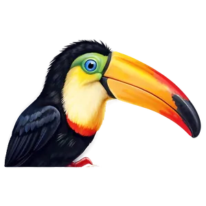Toucan Beak Detail PNG Lyn PNG