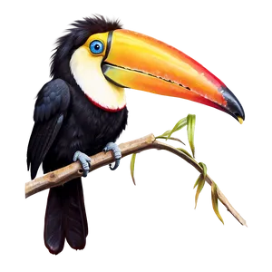 Toucan Enjoying Sun PNG Bqm