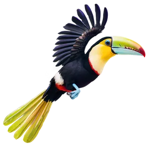 Toucan In Flight Png 06112024 PNG image