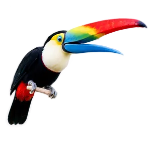 Toucan In Flight PNG Iqa58