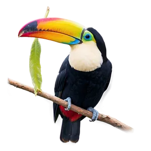 Toucan In Profile PNG Elh