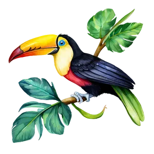 Toucan In Watercolor Png Eat PNG image