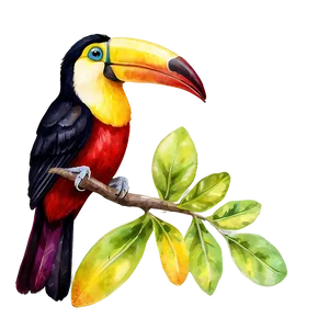 Toucan In Watercolor Png Hkm PNG image