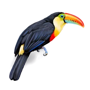 Toucan Perched Png Dmi PNG image