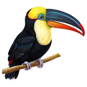 Toucan Side View PNG Gyx PNG