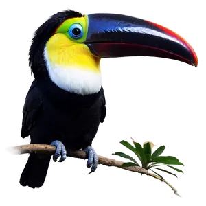 Toucan Silhouette Png Gee26 PNG image