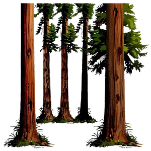 Towering Redwood Trees PNG 05042024