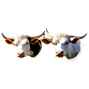 Traditional Cow Head PNG 06212024 PNG