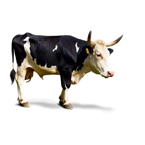 Traditional Cow Png 05032024 PNG image