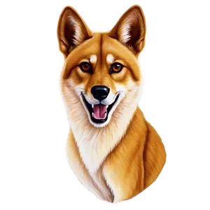 Traditional Dingo Painting PNG 06202024 PNG