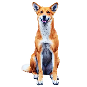 Traditional Dingo Painting PNG 57