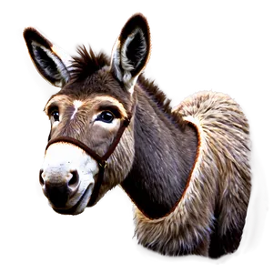 Traditional Donkey Drawing PNG Acv53