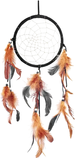 Traditional Dreamcatcher Design PNG image