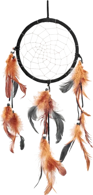 Traditional Dreamcatcherwith Feathers PNG image