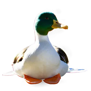 Traditional Duck Painting PNG Gff PNG