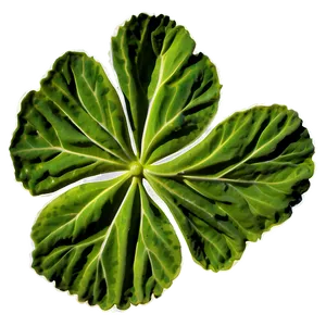 Traditional Geranium Leaf PNG Eew46