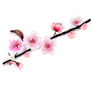 Traditional Japanese Cherry Blossom PNG Amx59