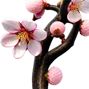 Traditional Japanese Cherry Blossom PNG Ion