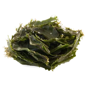 Traditional Japanese Seaweed PNG 05242024 PNG