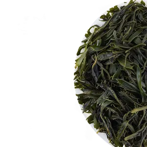 Traditional Japanese Seaweed PNG Amy13 PNG