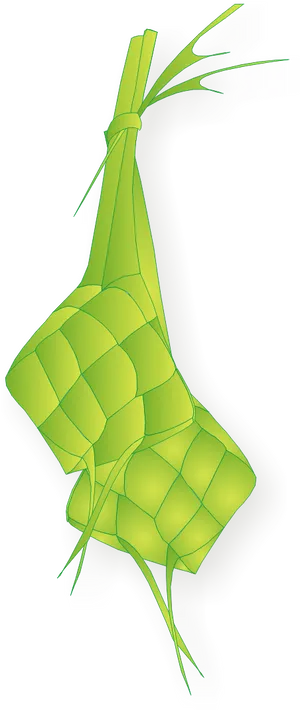 Traditional Ketupat Vector Illustration PNG image