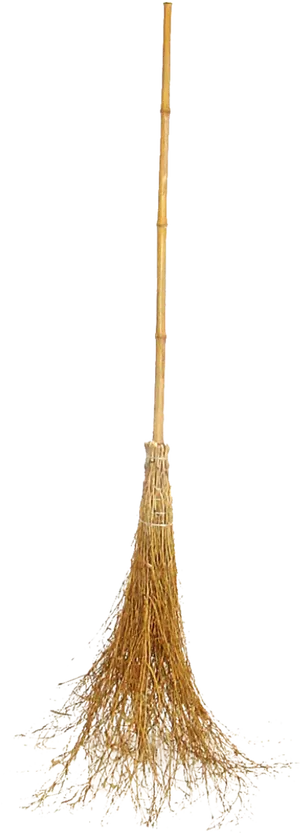 Traditional Straw Broom Standing PNG image