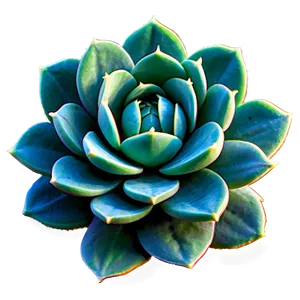 Traditional Succulent Png Wbb64 PNG image