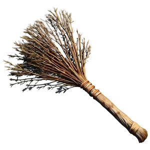 Traditional Witches Broom PNG 06292024