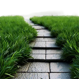 Tranquil Grass Pathway Png 69 PNG image