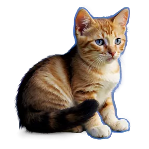 Tranquil Kitten Rest Png Epn83 PNG image