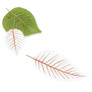 Tranquil Leaves Falling PNG 06132024 PNG